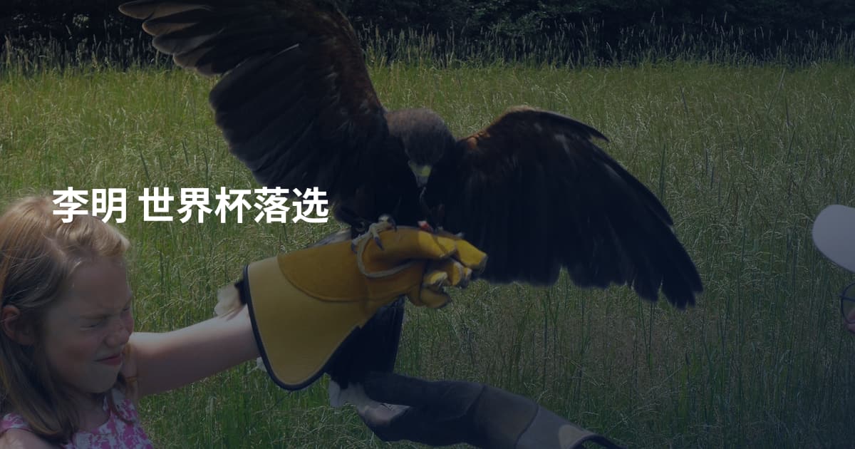 李明 世界杯落选