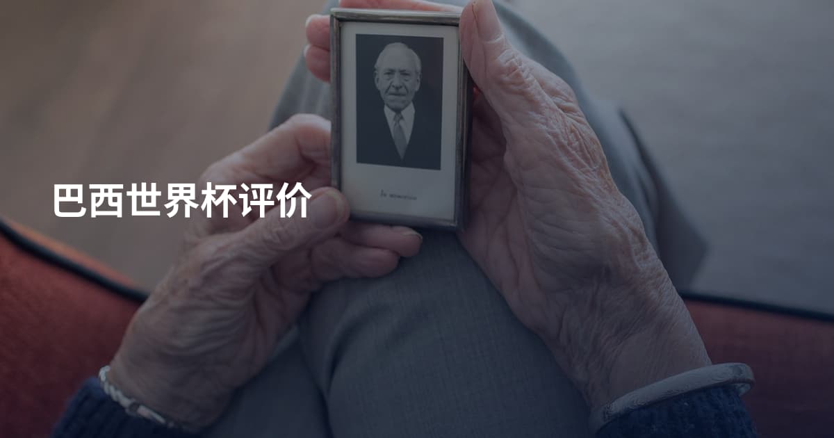 巴西世界杯评价