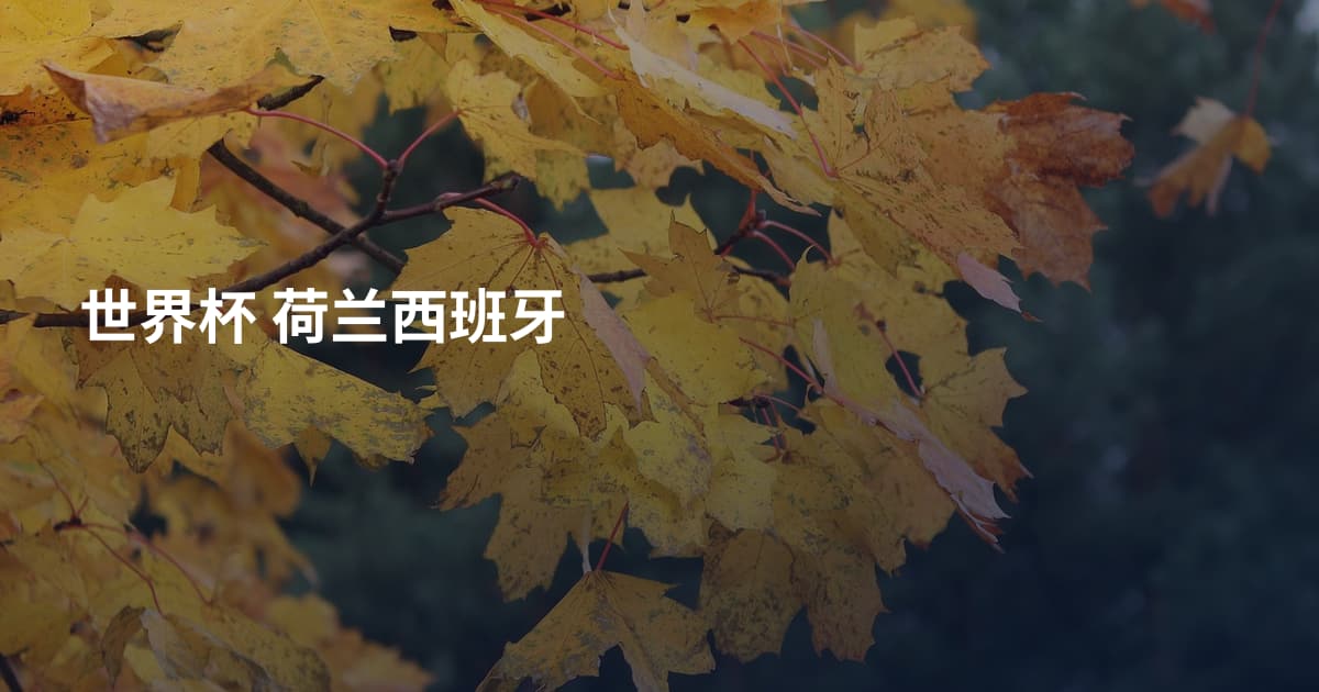 世界杯 荷兰西班牙