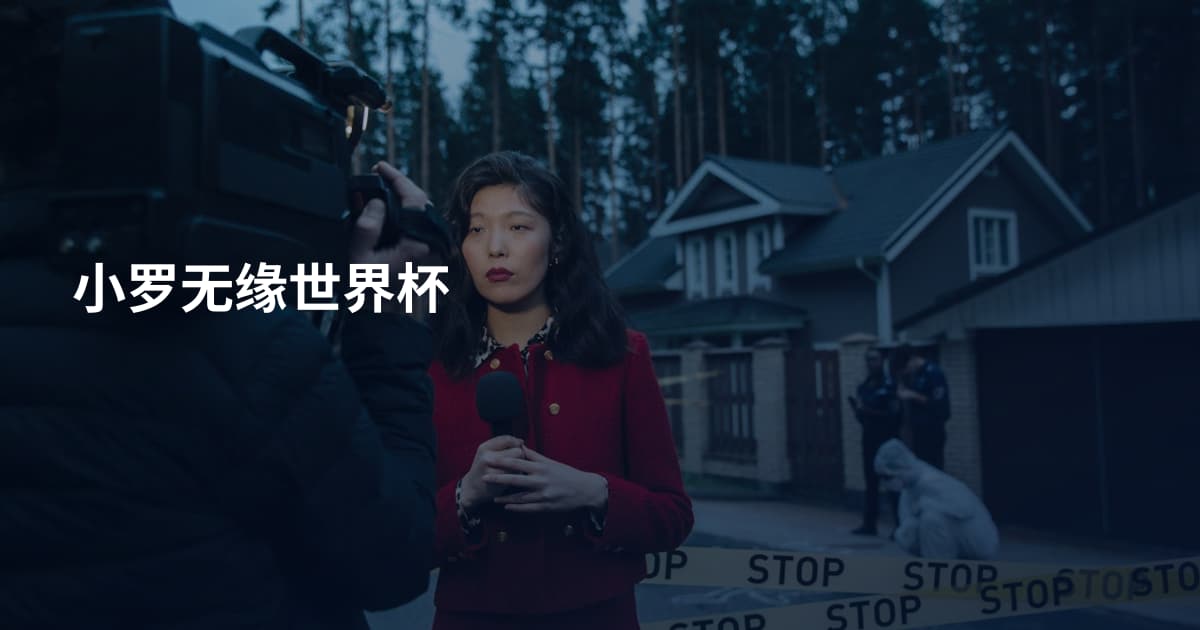 小罗无缘世界杯