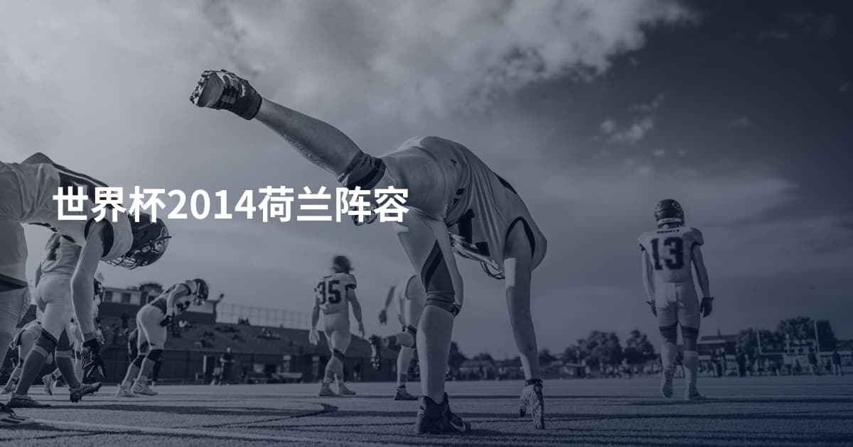 世界杯2014荷兰阵容