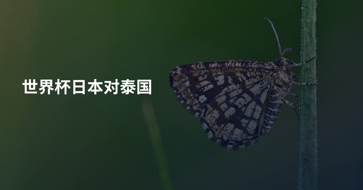 世界杯日本对泰国