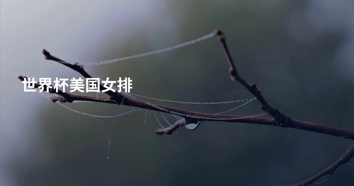 世界杯美国女排