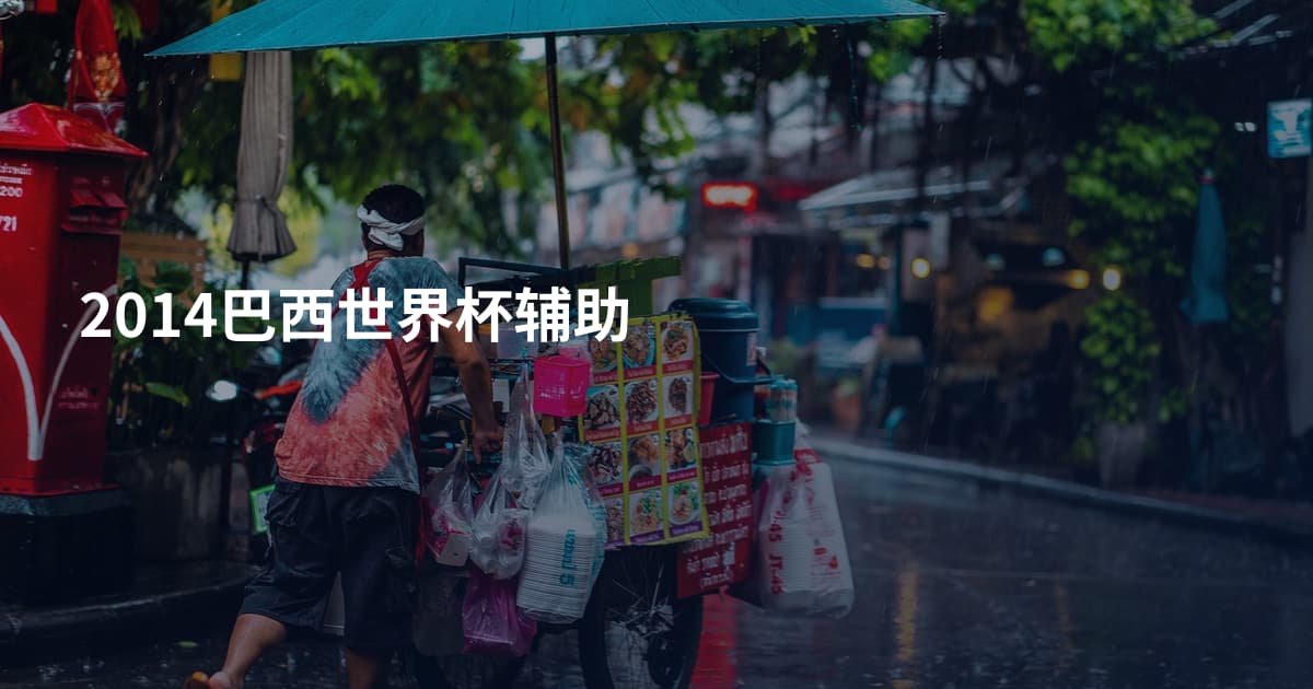 2014巴西世界杯辅助