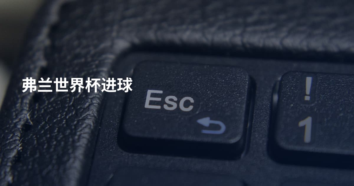 弗兰世界杯进球