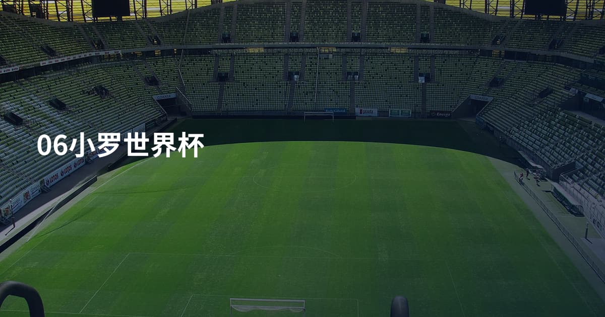 06小罗世界杯