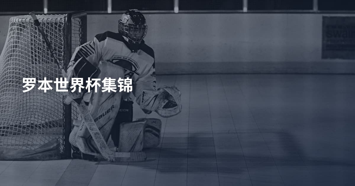 罗本世界杯集锦