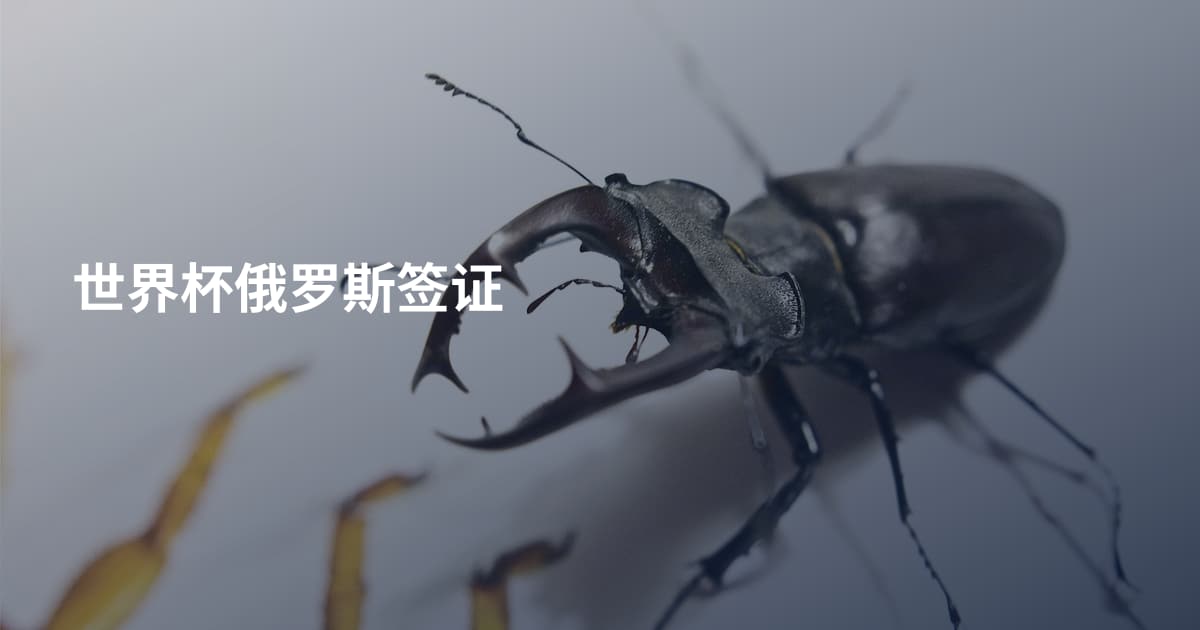 世界杯俄罗斯签证