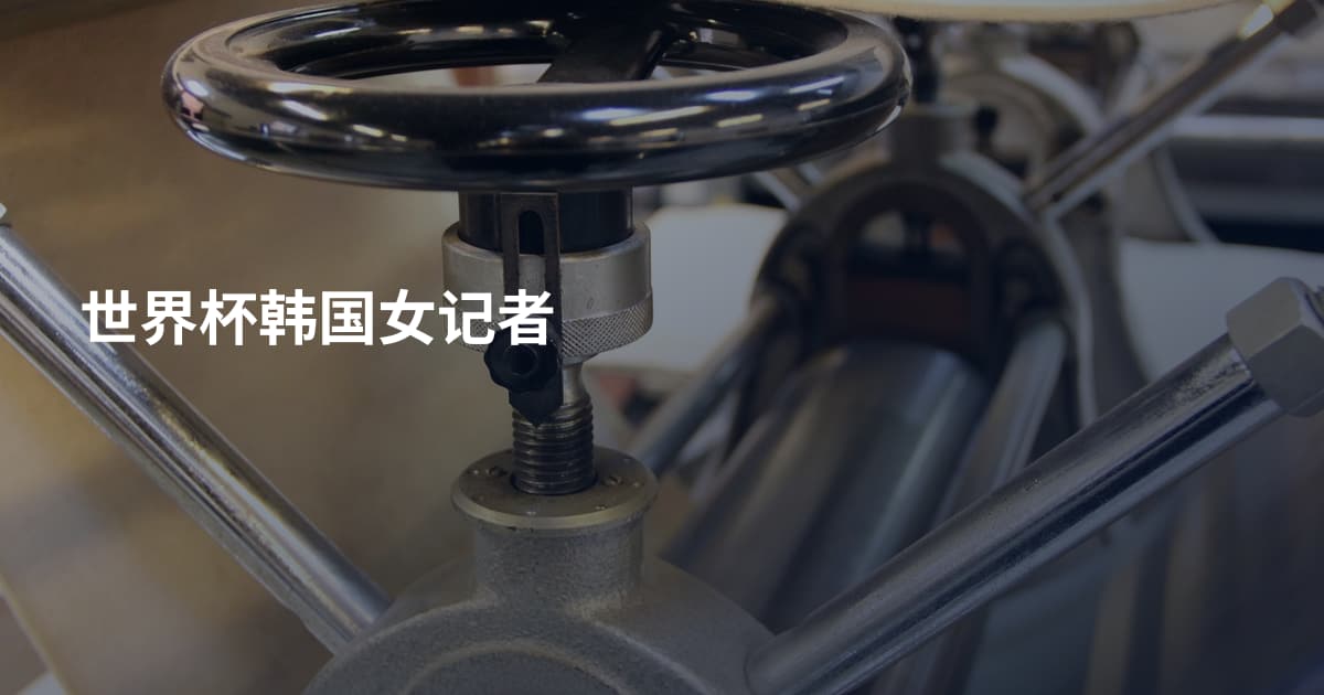 世界杯韩国女记者