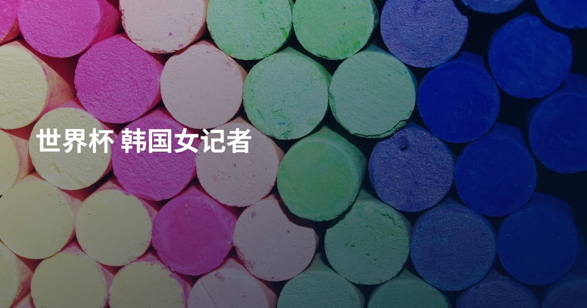 世界杯 韩国女记者