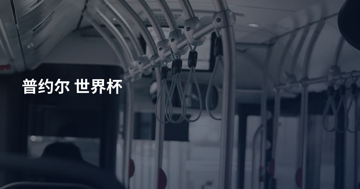 普约尔 世界杯
