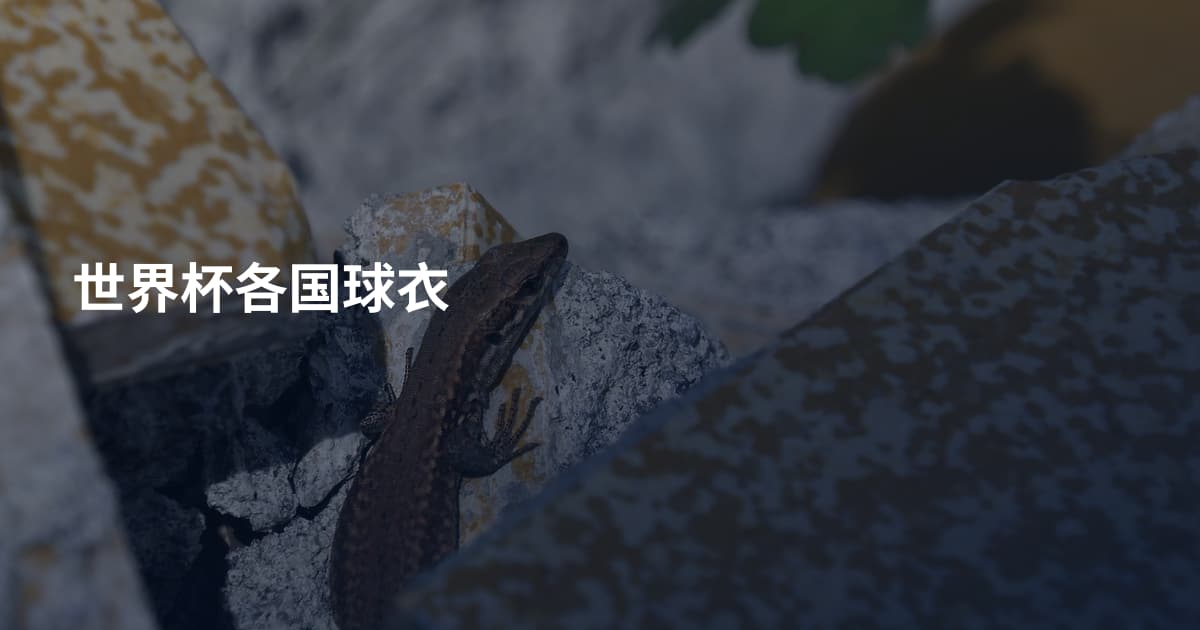 世界杯各国球衣