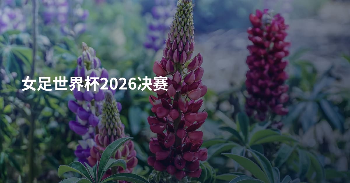 女足世界杯2026决赛