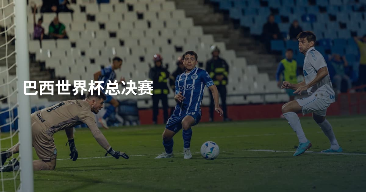 巴西世界杯总决赛