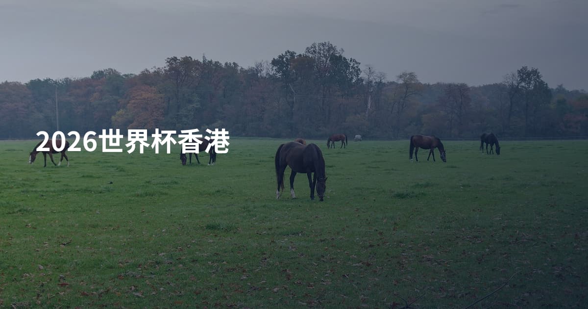 2026世界杯香港
