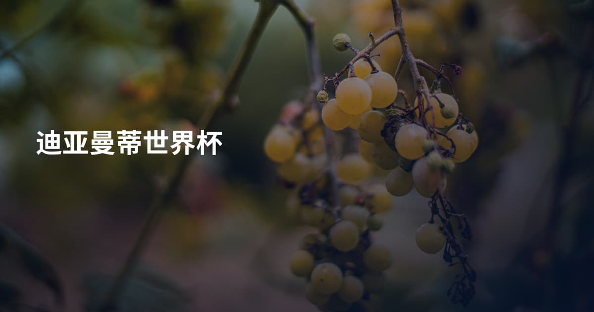 迪亚曼蒂世界杯