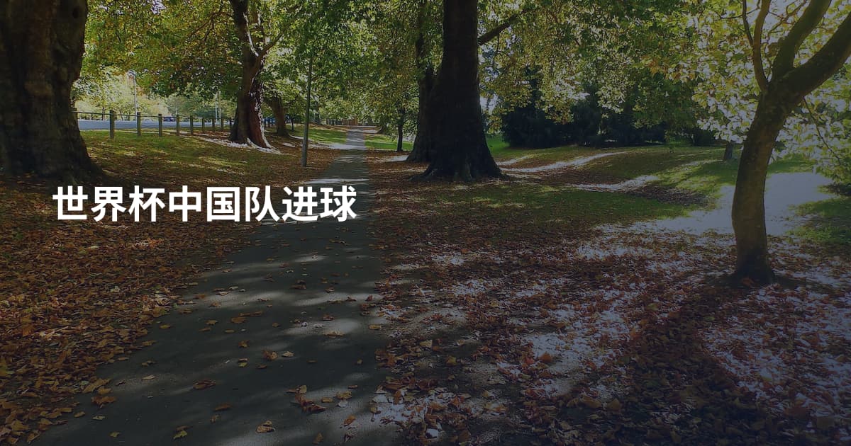 世界杯中国队进球