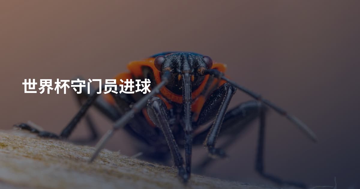 世界杯守门员进球
