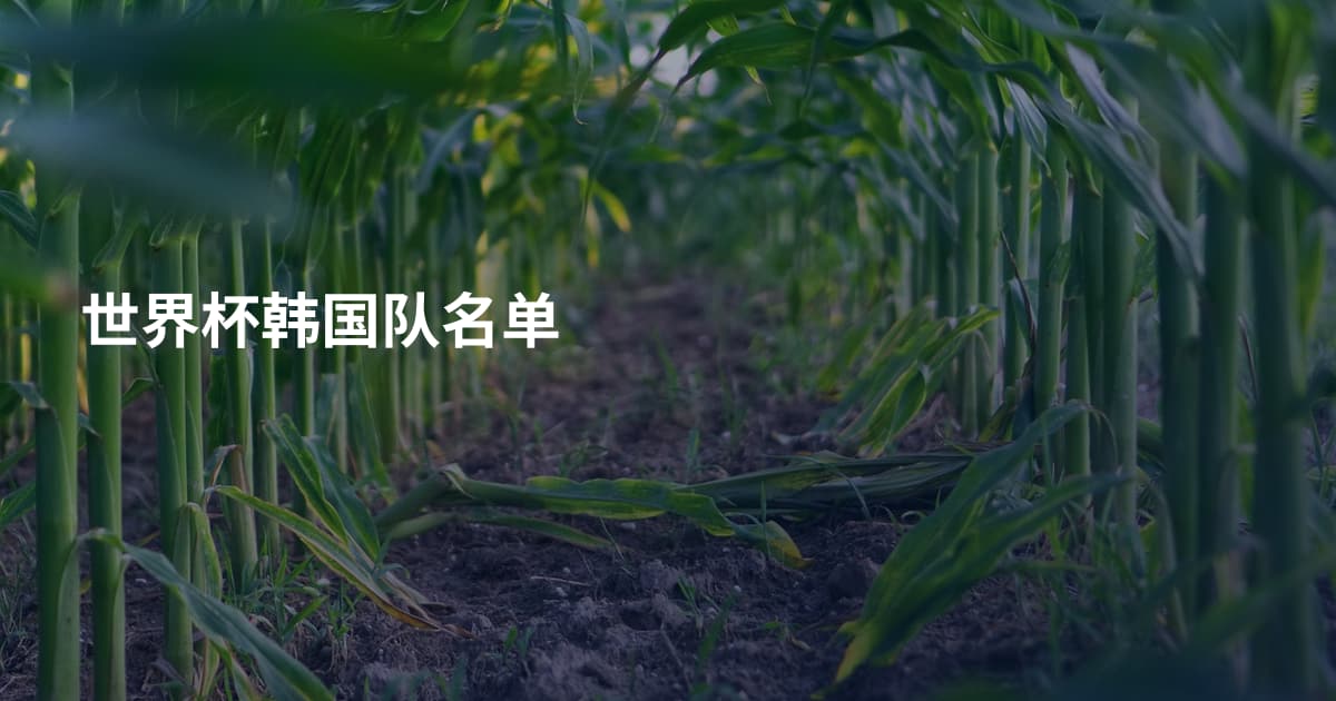 世界杯韩国队名单
