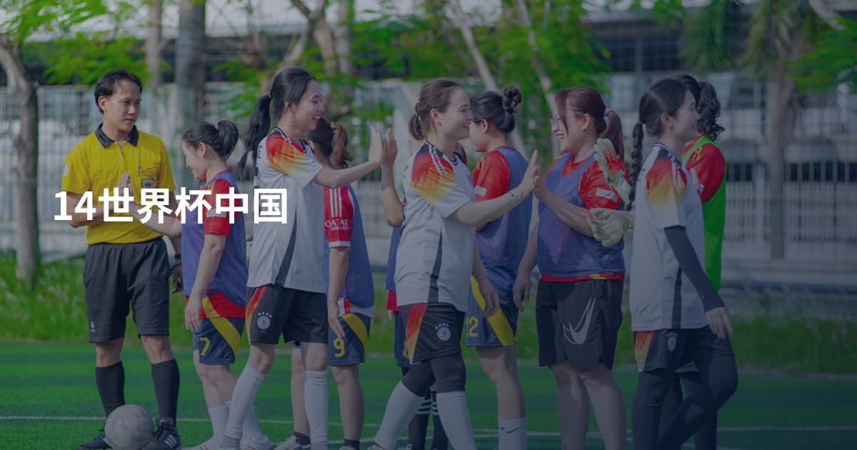 14世界杯中国