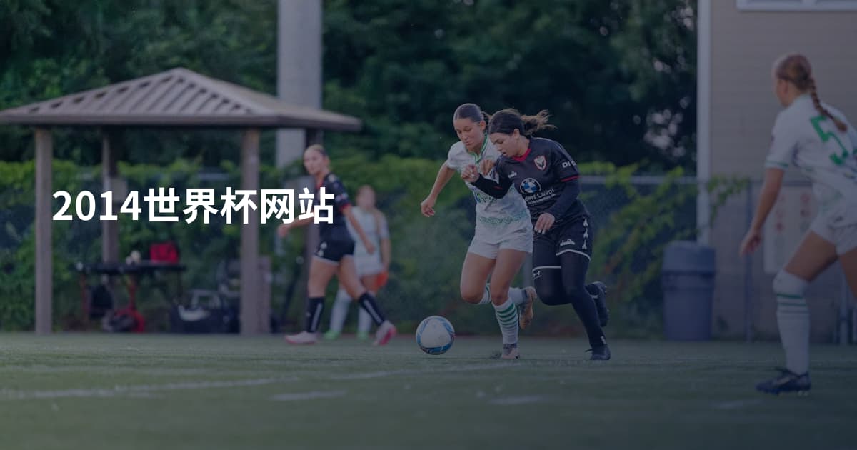 2014世界杯网站