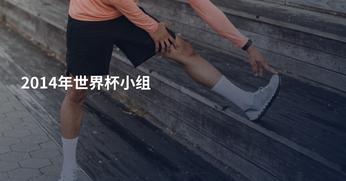 2014年世界杯小组