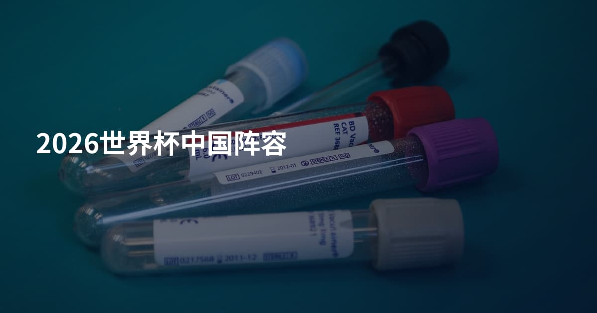 2026世界杯中国阵容