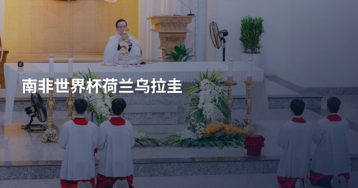 南非世界杯荷兰乌拉圭