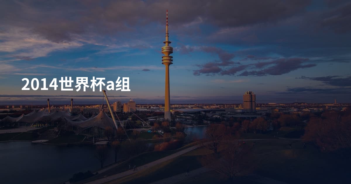 2014世界杯a组