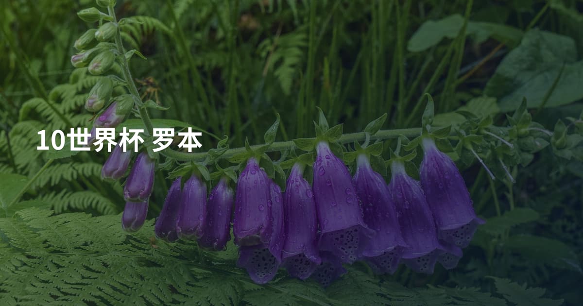 10世界杯 罗本