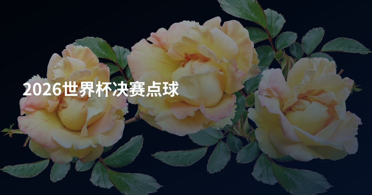 2026世界杯决赛点球