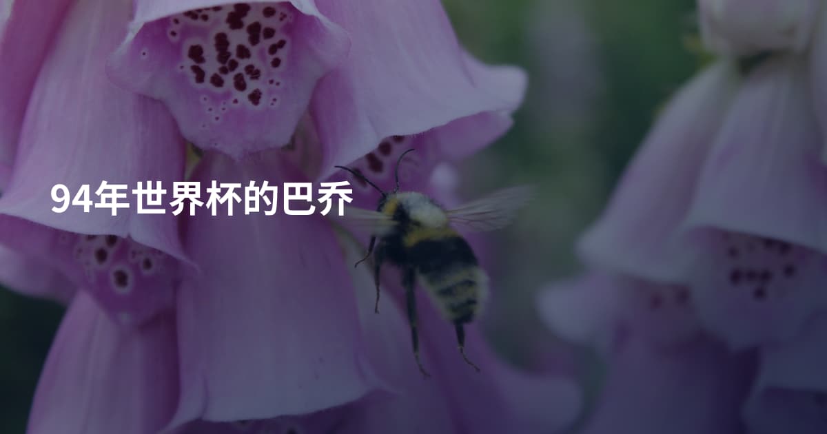 94年世界杯的巴乔