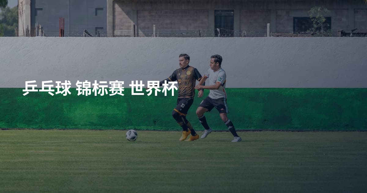 乒乓球 锦标赛 世界杯