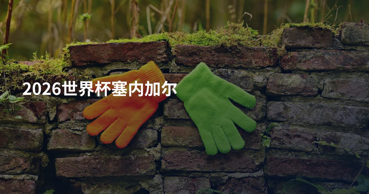 2026世界杯塞内加尔
