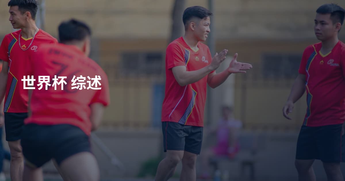 世界杯 综述