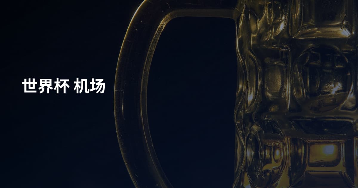 世界杯 机场