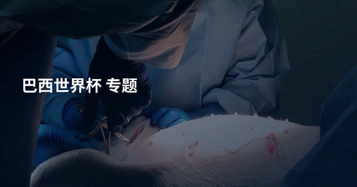 巴西世界杯 专题