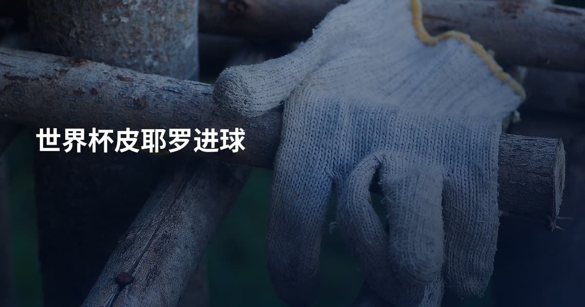 世界杯皮耶罗进球