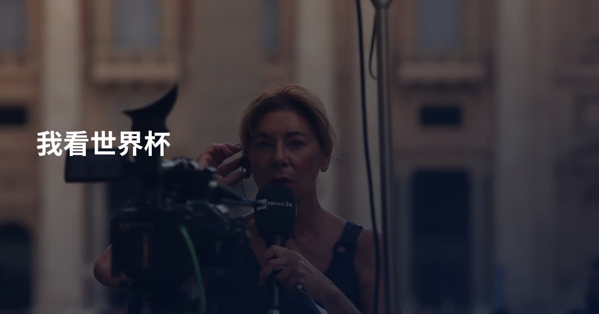 我看世界杯