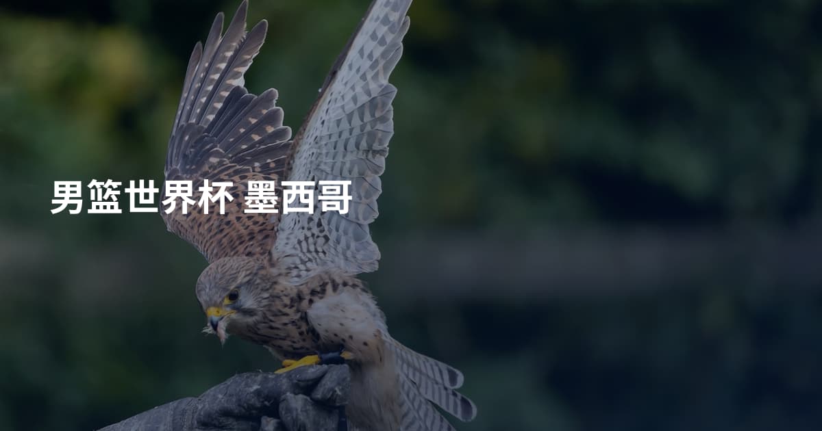 男篮世界杯 墨西哥