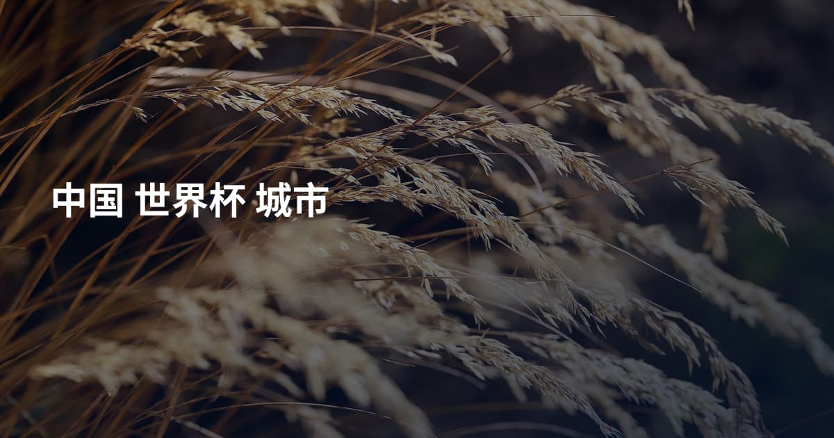 中国 世界杯 城市
