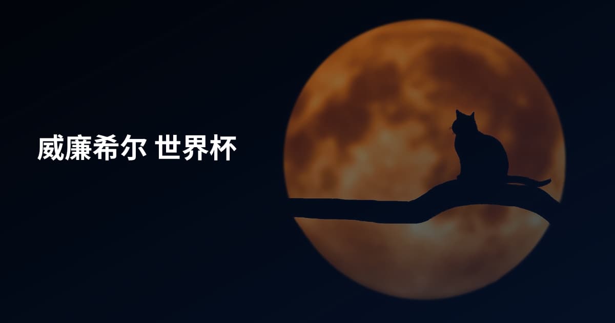 威廉希尔 世界杯