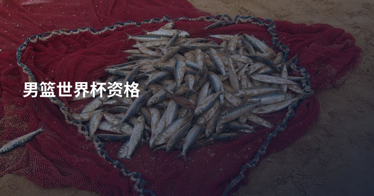 男篮世界杯资格