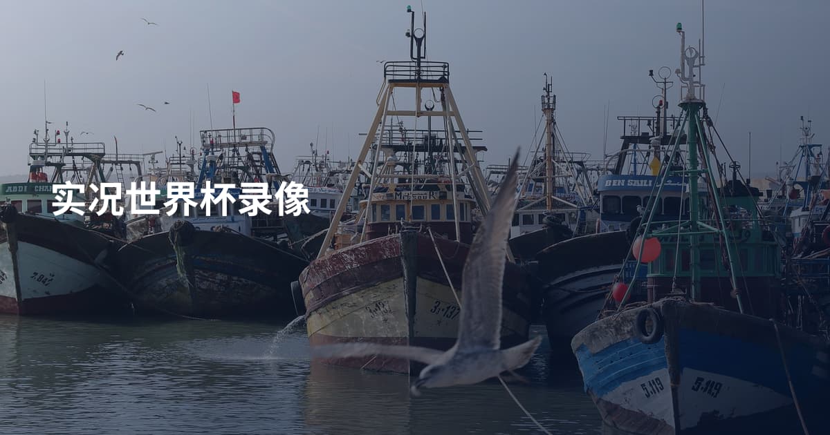 实况世界杯录像