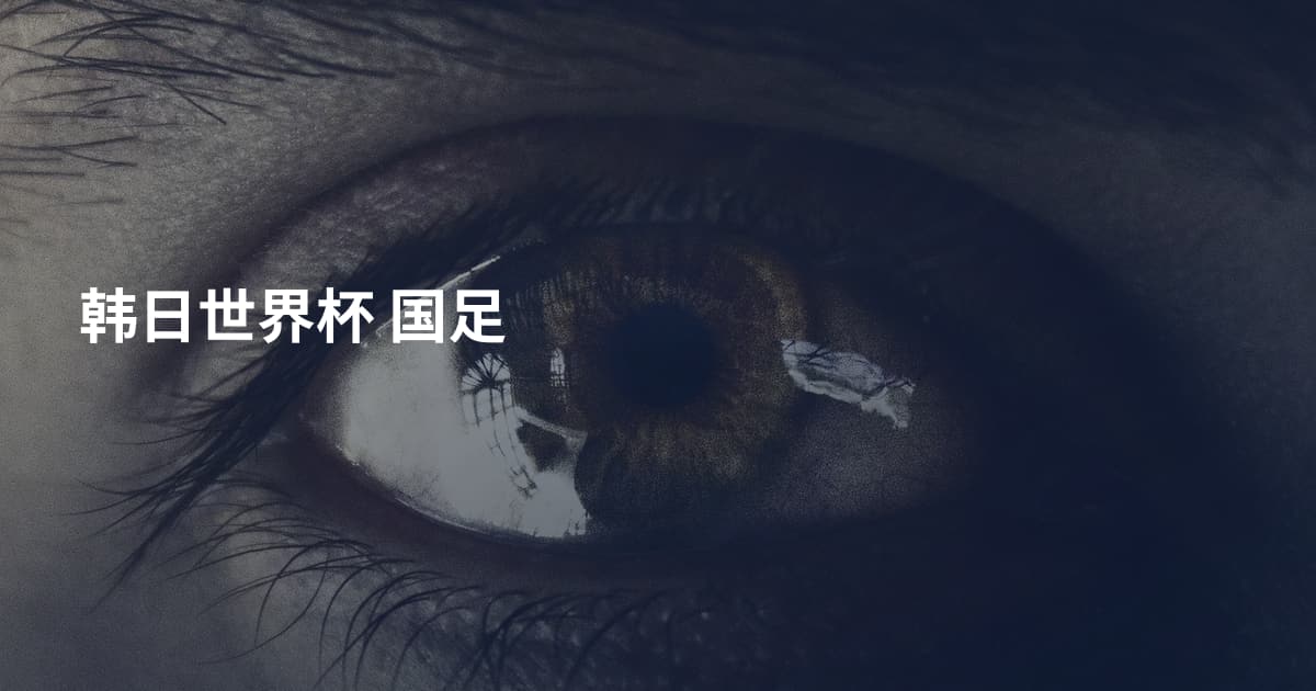 韩日世界杯 国足