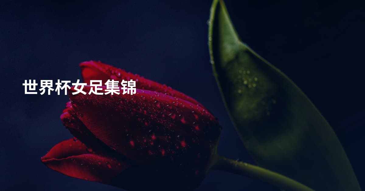 世界杯女足集锦
