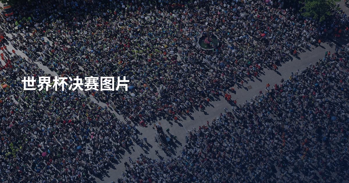 世界杯决赛图片