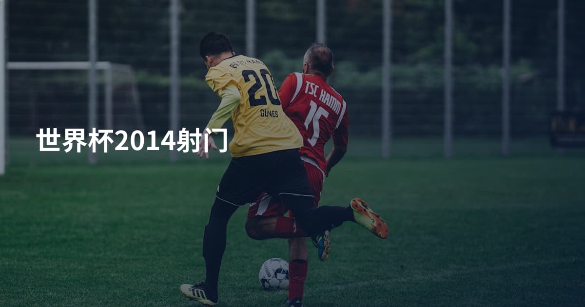 世界杯2014射门