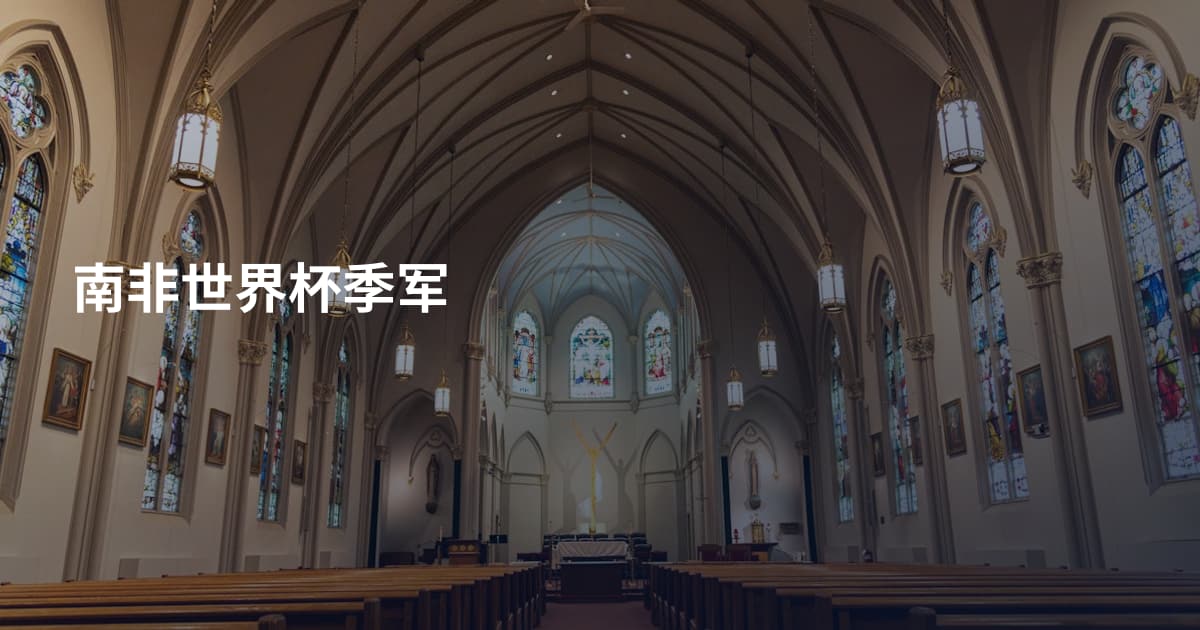 南非世界杯季军