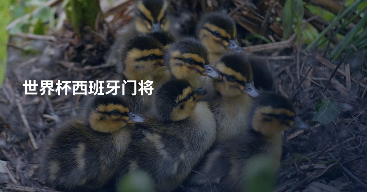 世界杯西班牙门将